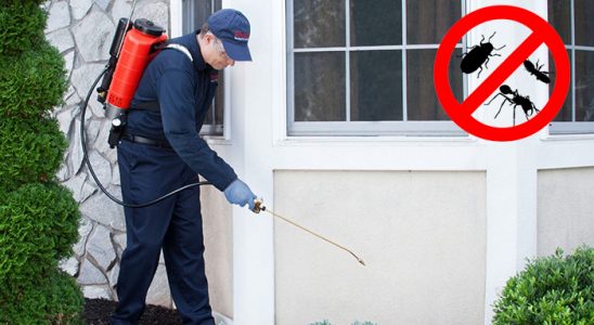 Bünyan Bit İlaçlama böcek ilaçlama ve haşere kontrolü — ilaclama-tr.com